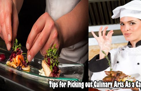 Tips for Picking out Culinary Arts As a Career