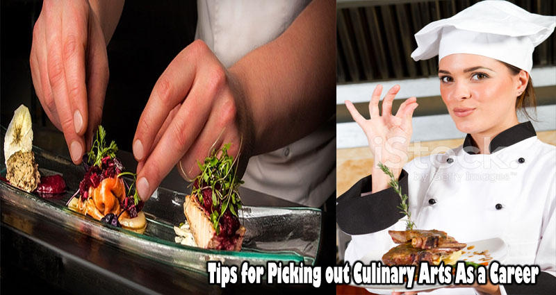 Tips for Picking out Culinary Arts As a Career