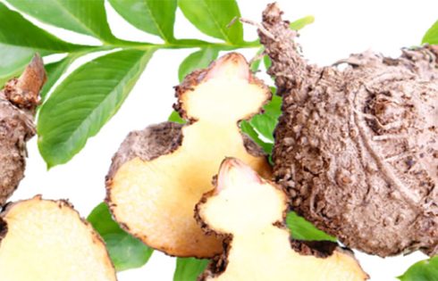 Unveiling the Potent Power of Konjac Flour: A Culinary Gem with Profound Health Benefits